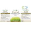 Herbal One BIOVITAL สารสกัดจากต้นข้าวสาลีอ่อน 60 แคปซูล